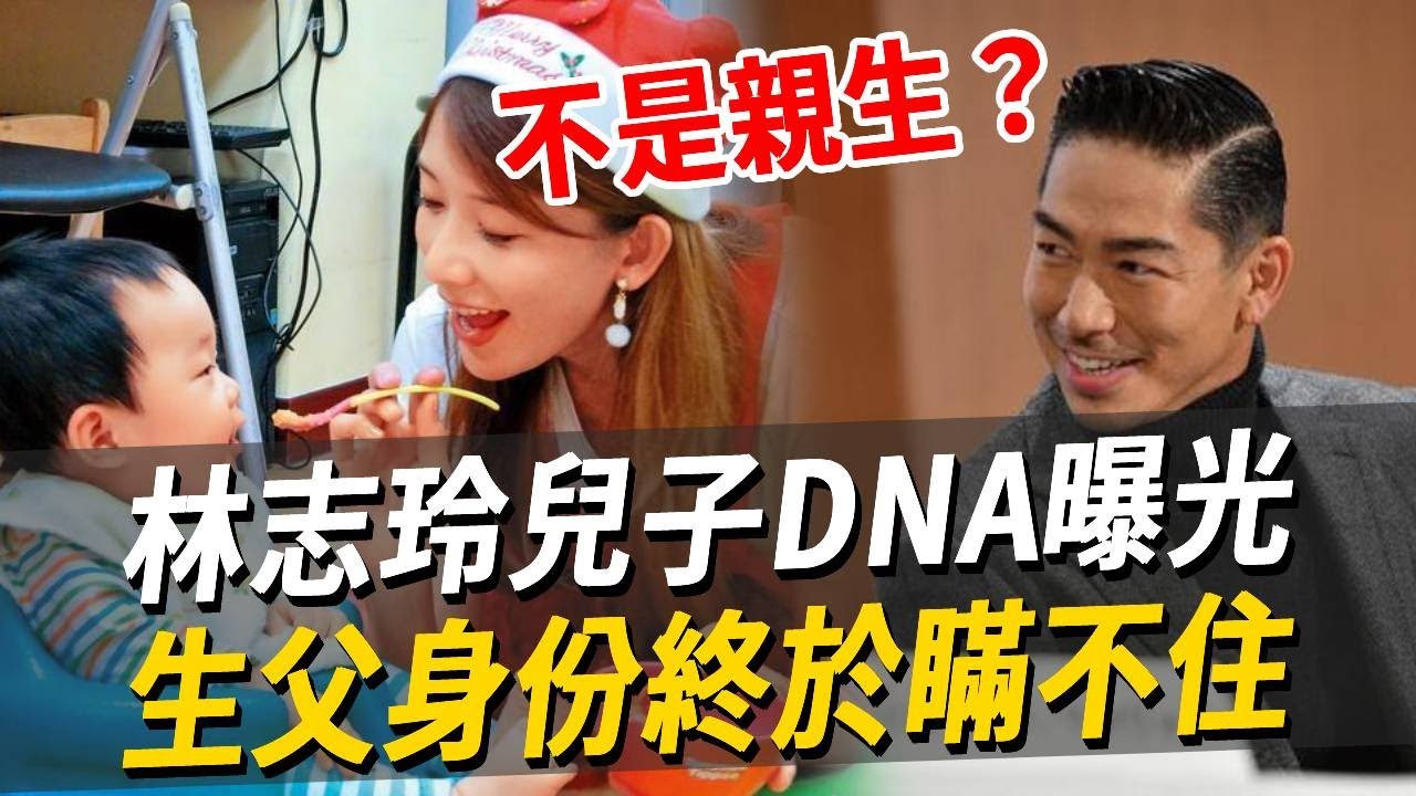 林志玲兒子長相太驚人！DNA曝光生父瞞不住了，2年心酸終於了結