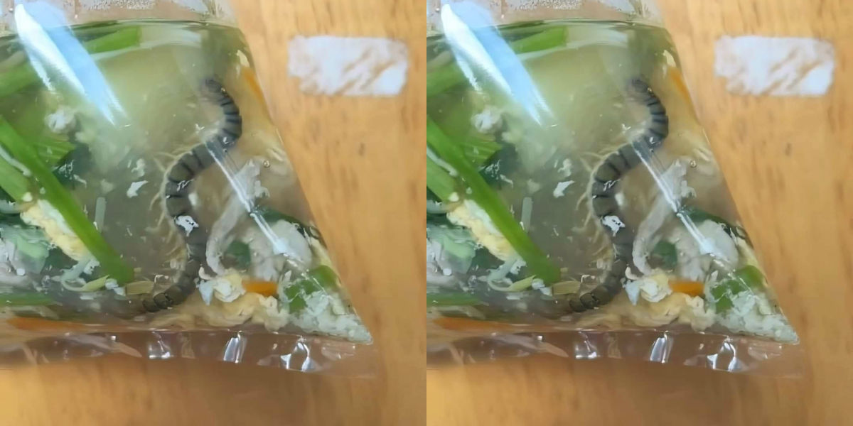 以為是蛇！他外帶蛋花湯「驚見超巨一條」煮熟飄湯裡，內行網友笑：「這碗至少上千元」